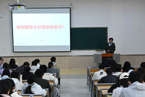 IMG_256 IMG_256